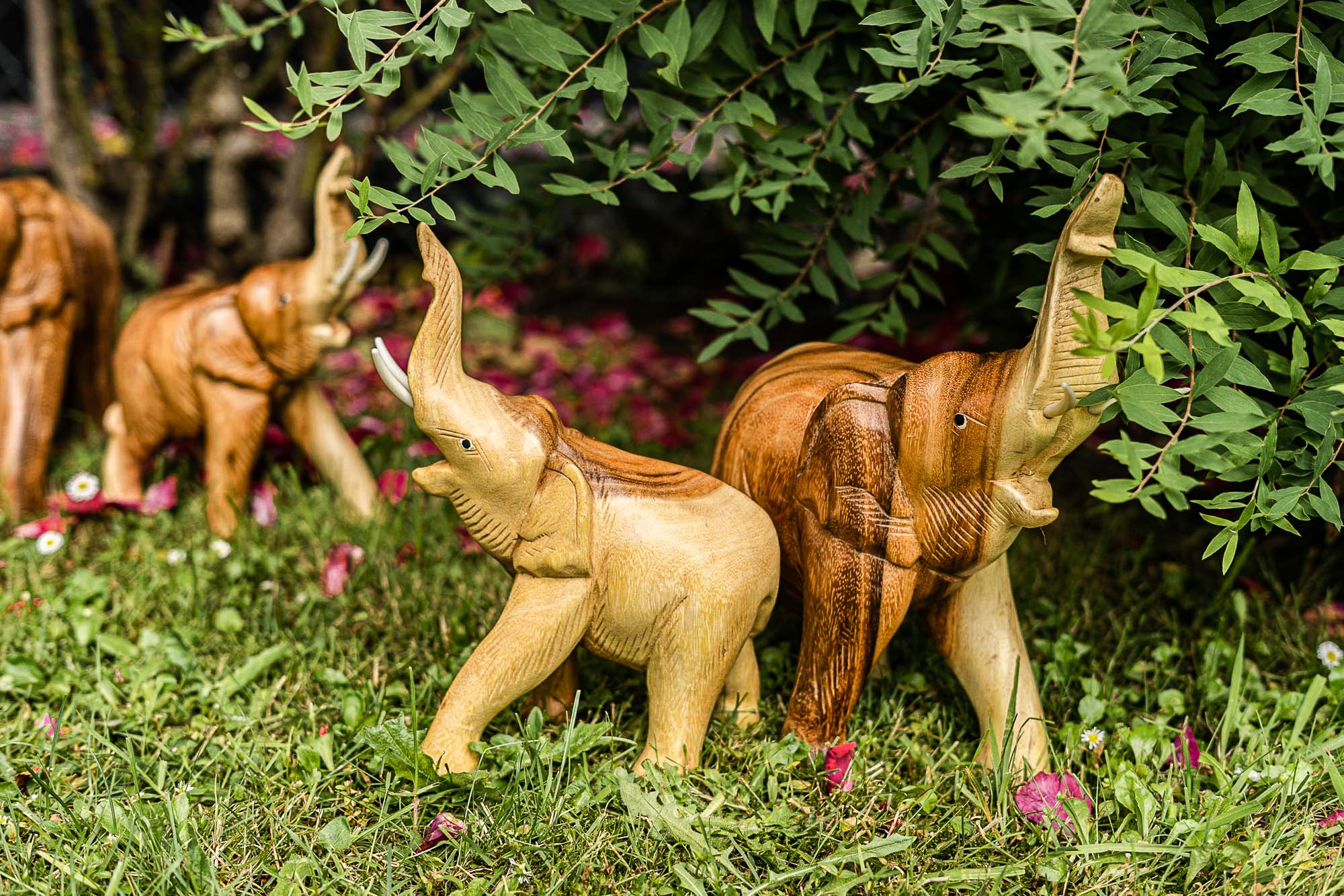 Holz-Elefant 'Kwai' stehend, natur, B 20 cm, H 24 cm, L 9 cm von fischer's lagerhaus