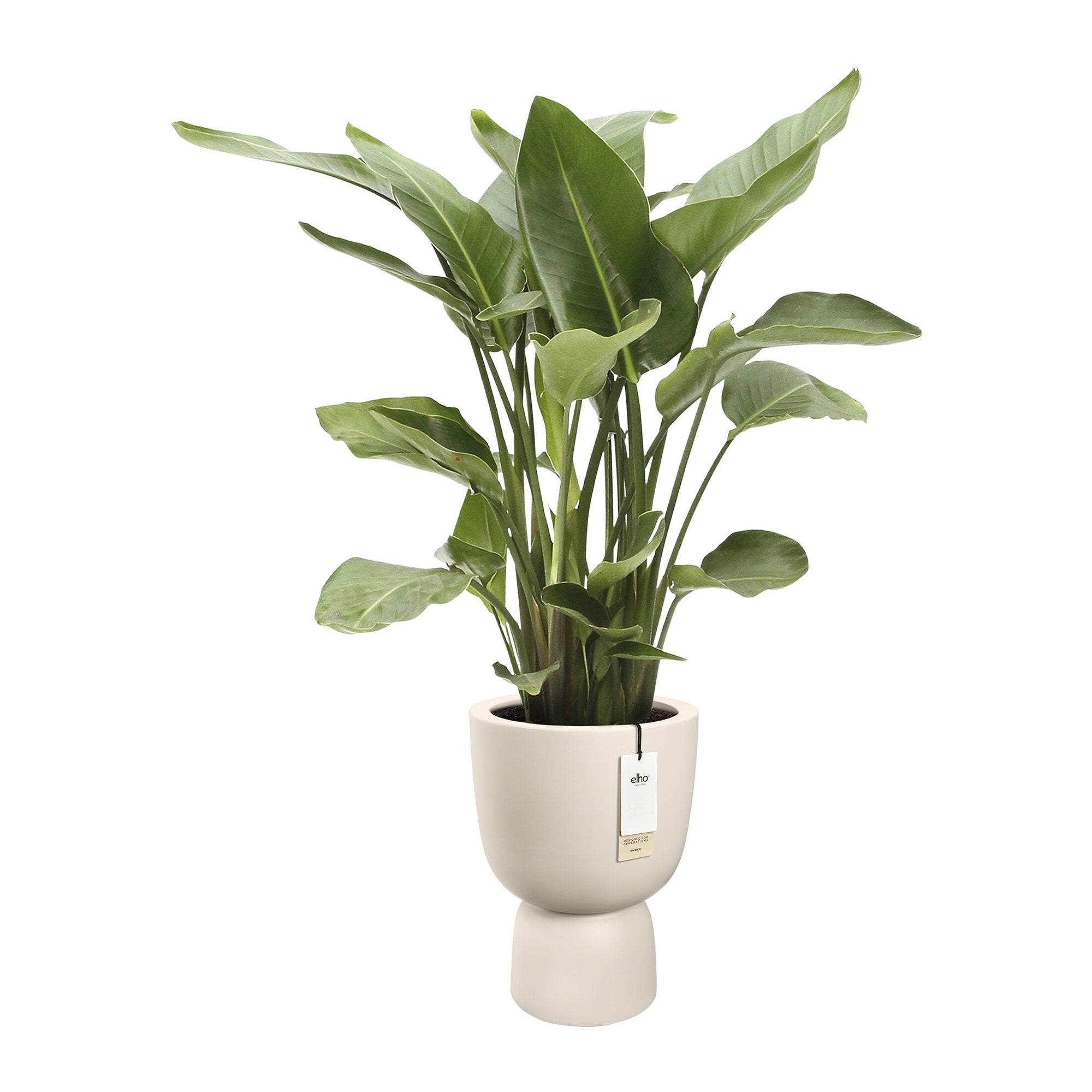 Elho Amber Coupe 35 - Linnen wit - L 35 x B x H 49 cm - Binnen en Buiten - 100% gerecycled kunststof