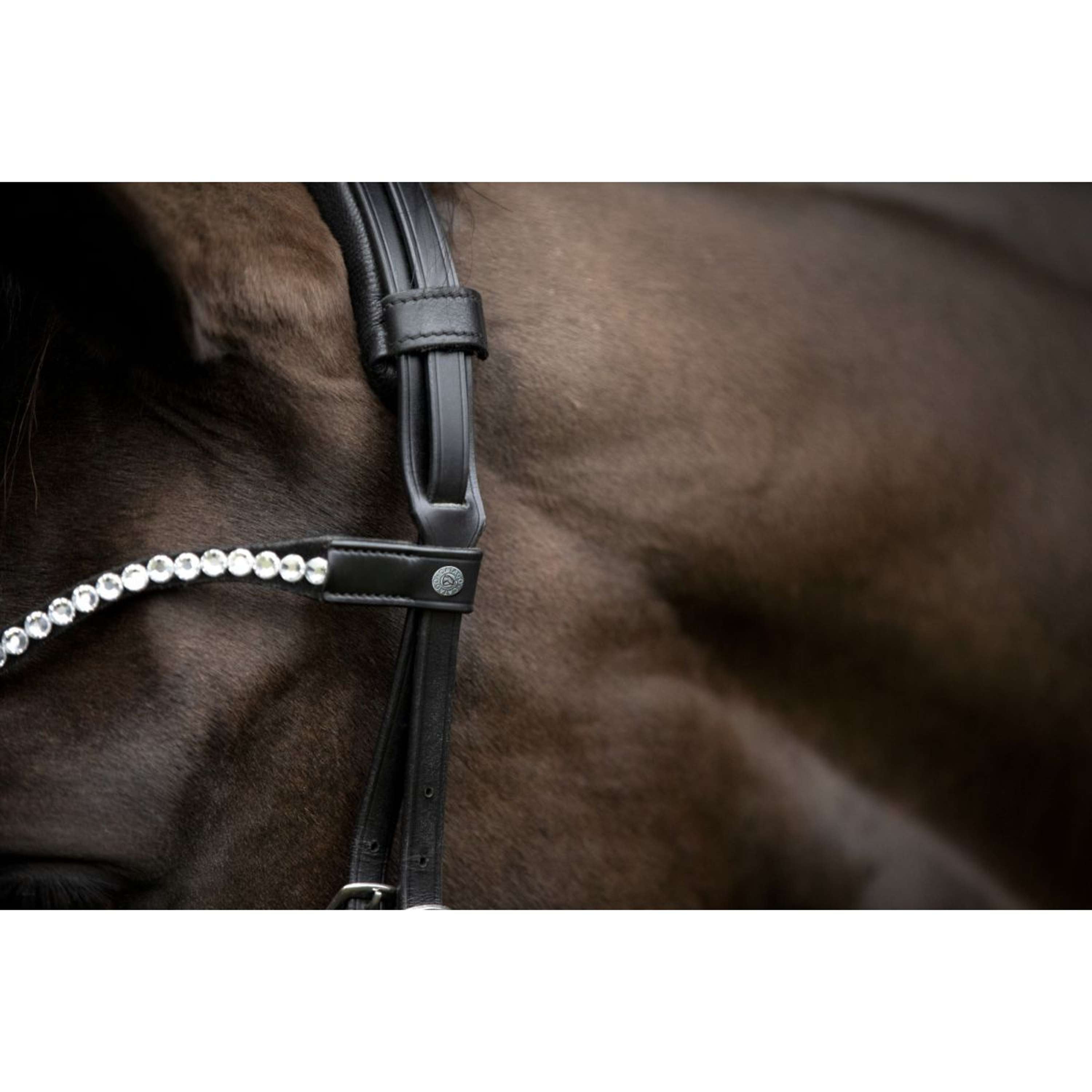 Catago Frontriem Gentle Zwart