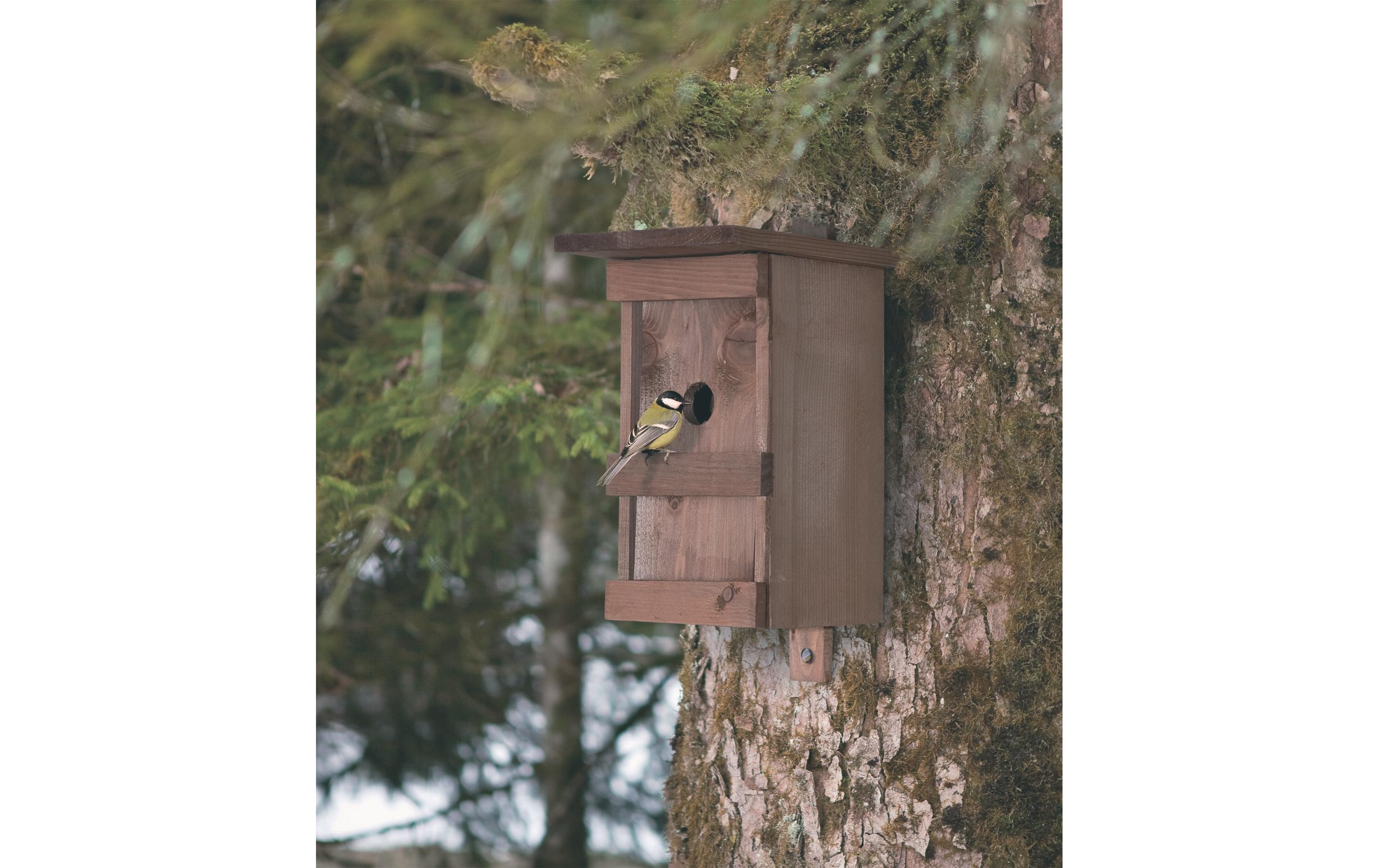 Nistkasten BirdySchutz für den gefiederten Nachwuchs