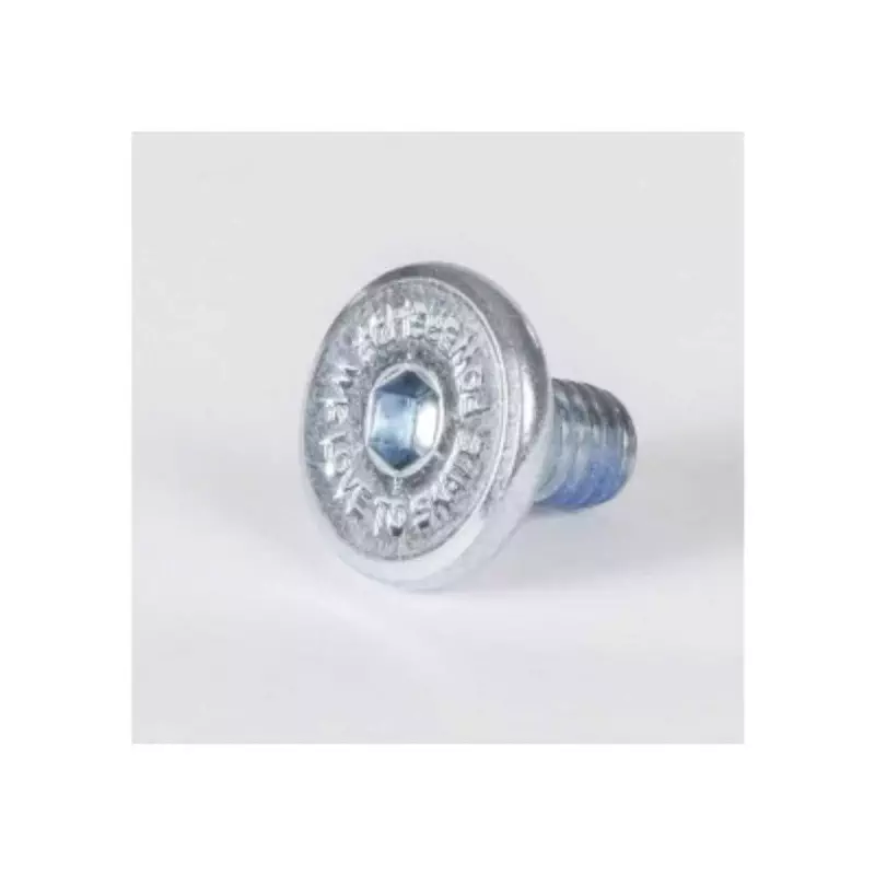 Visserie roller en ligne POWERSLIDE HexMountingScrew, L10mm M6