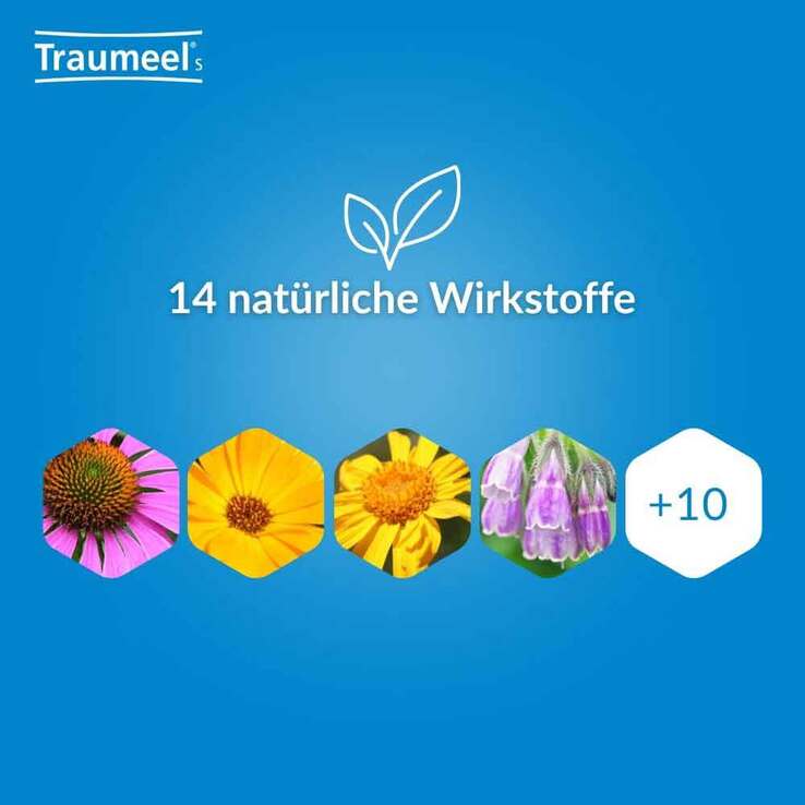 Traumeel S Mischung, 100 ml
