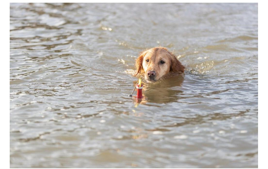 Aqua Toy Snack Boje TPR, 19 cmHundespielzeug am Seil