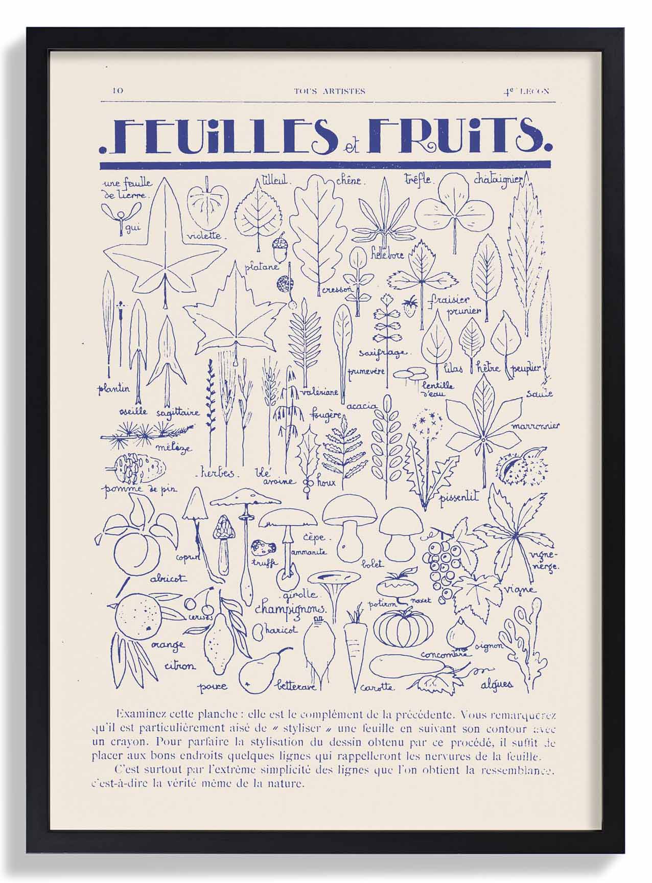 Fleurs et Fruits von Astër