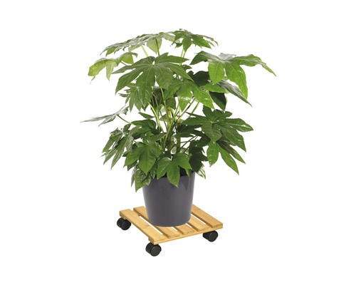 Wagner Bamboe plantenwagen, bamboe, 29x29 cm, draagvermogen 100 kg