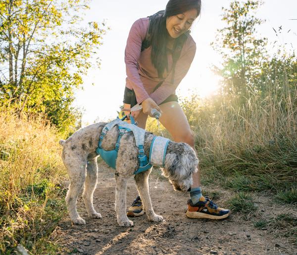 RUFFWEAR® kühlendes Hundehalstuch Swamp