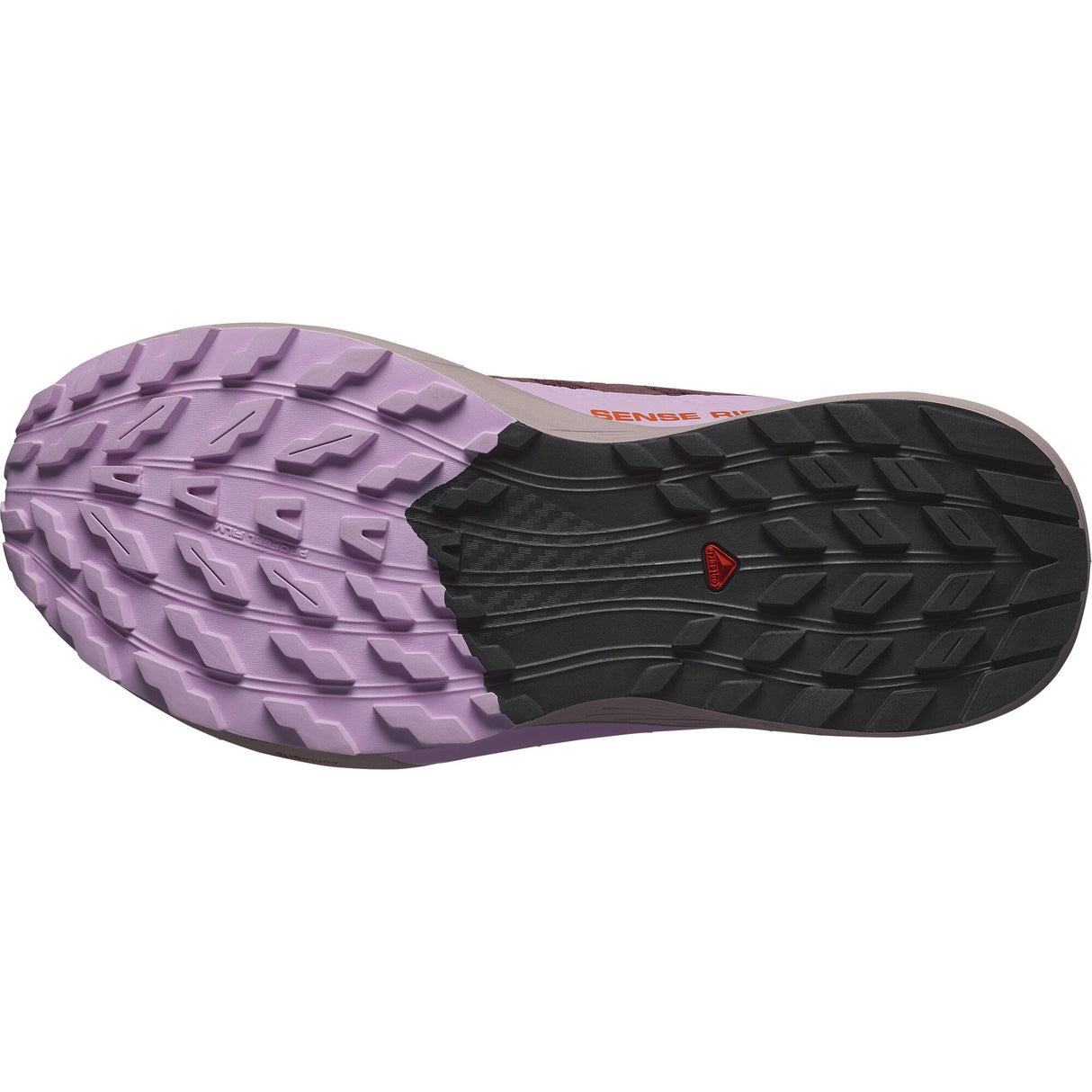 Salomon<br>Sense Ride 5 GTX W