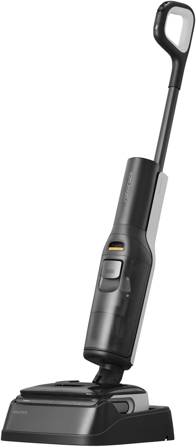 Roborock F25 handheld W&D vacuum WD5M1A522-00 (black)