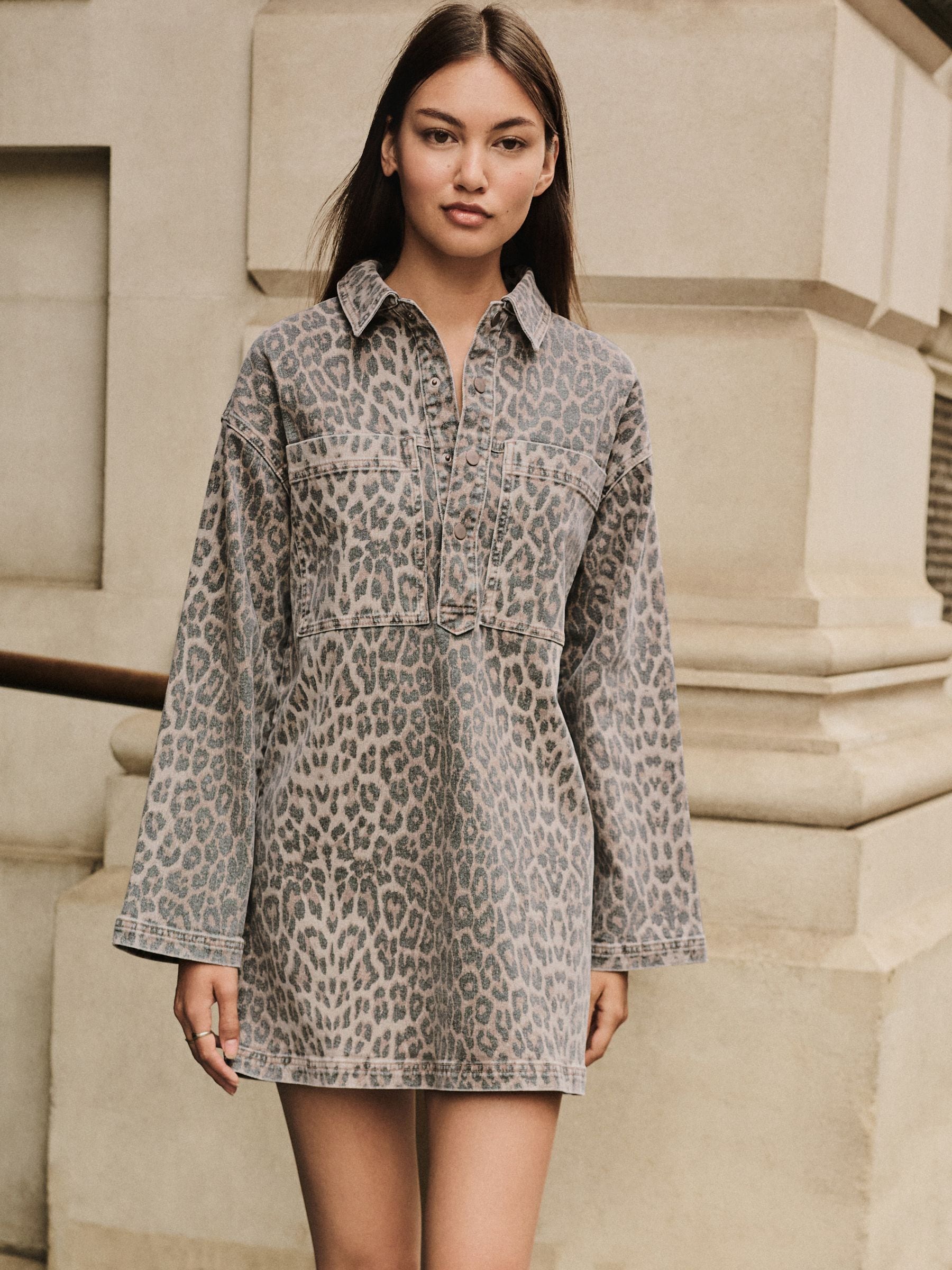 Luipaardprint - Mini Long Sleeve Utility Denim Dress