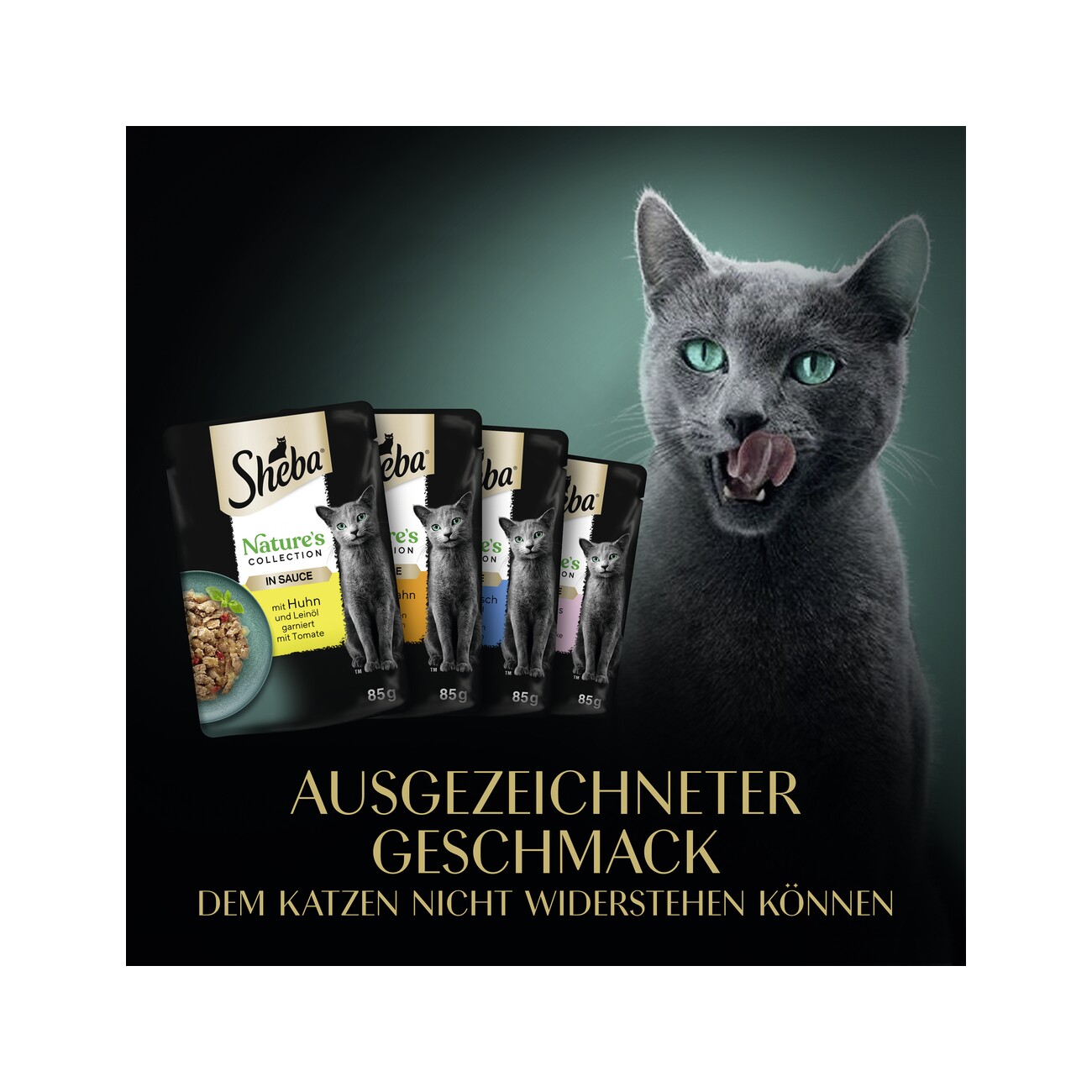 Sheba Nature's Collection Multipack in Sauce 12x85 g Feine Vielfalt (MSC)