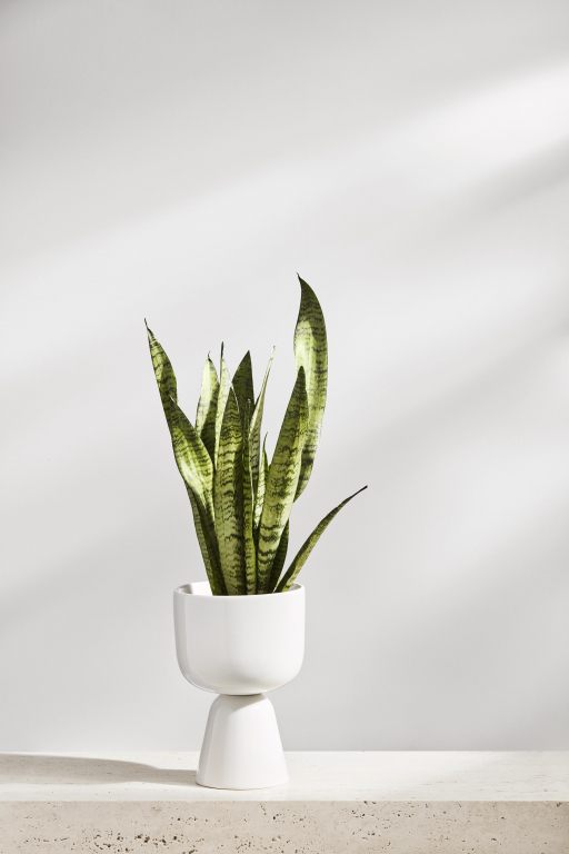 Iittala Nappula bloempot Ø19