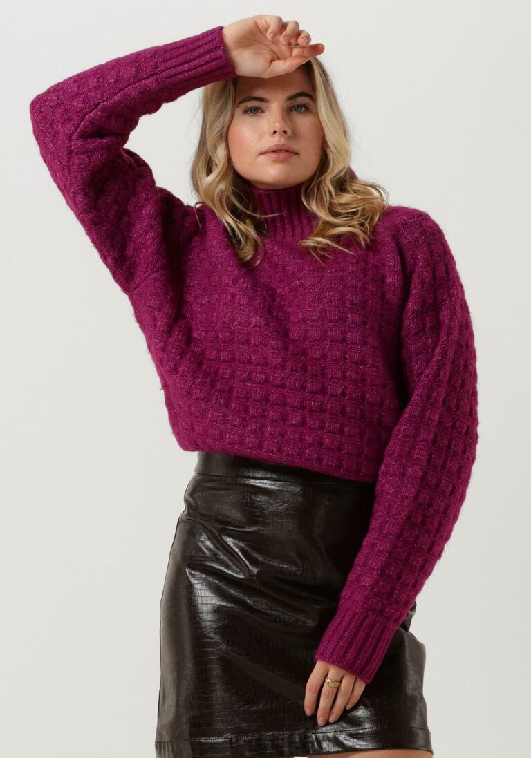 SILVIAN HEACH paarse silvian heach coltrui lupetto m/l - sweater