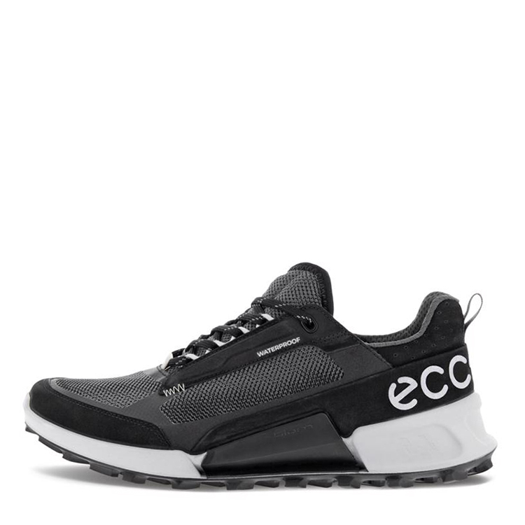 Ecco Biom 2.1 | NOIR (femme)