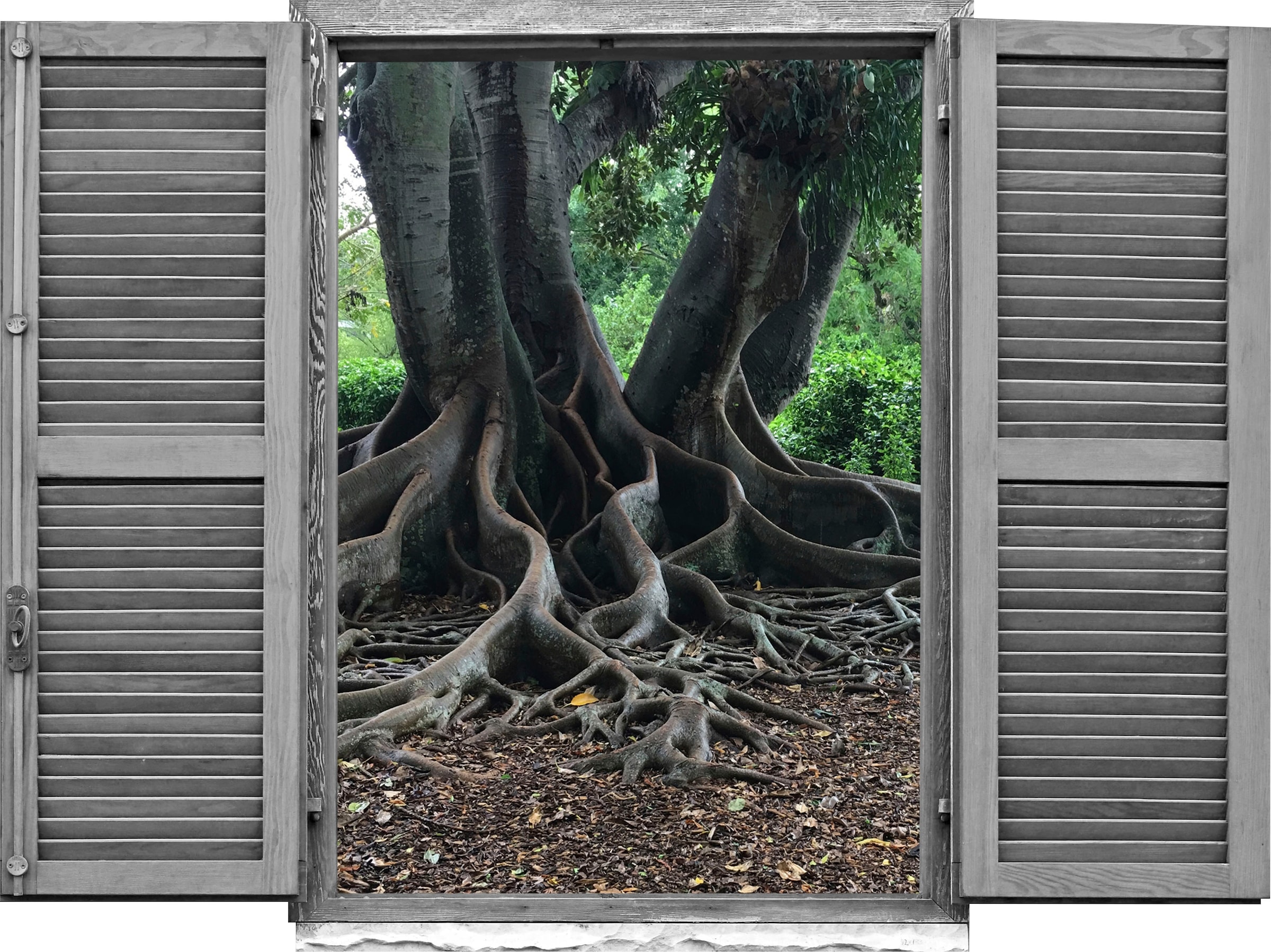 queence Wandtattoo »Baumwurzeln« Wandsticker, Wandbild, selbstklebend, 3D, Fenster