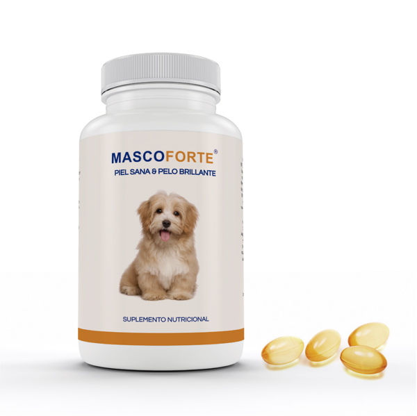 Caixa de petiscos naturais para cães PETbox