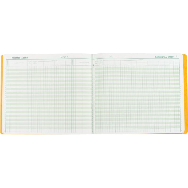 Registre comptable caisse banque Exacompta 6800E - 32 x 27 cm 80 pages