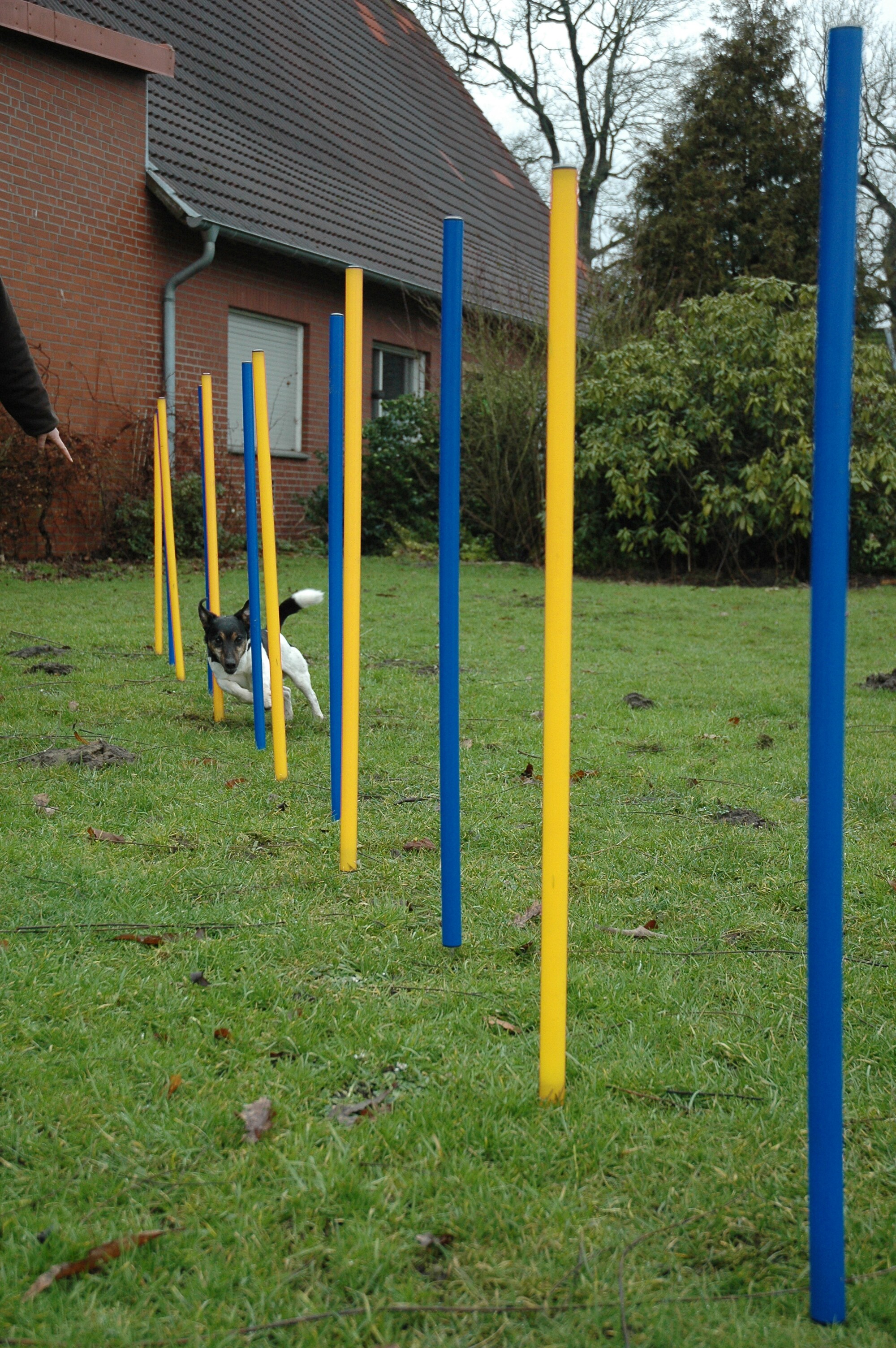 12-teiliges Agility Slalom Set - Hindernis mit 12 Stangen und Abstandsschnur