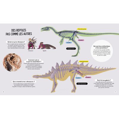 Livre Questions Réponses Tous les dinosaures