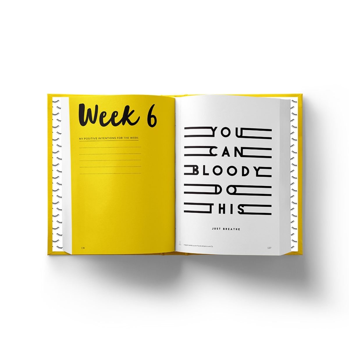The Positive Planner (Hardback)