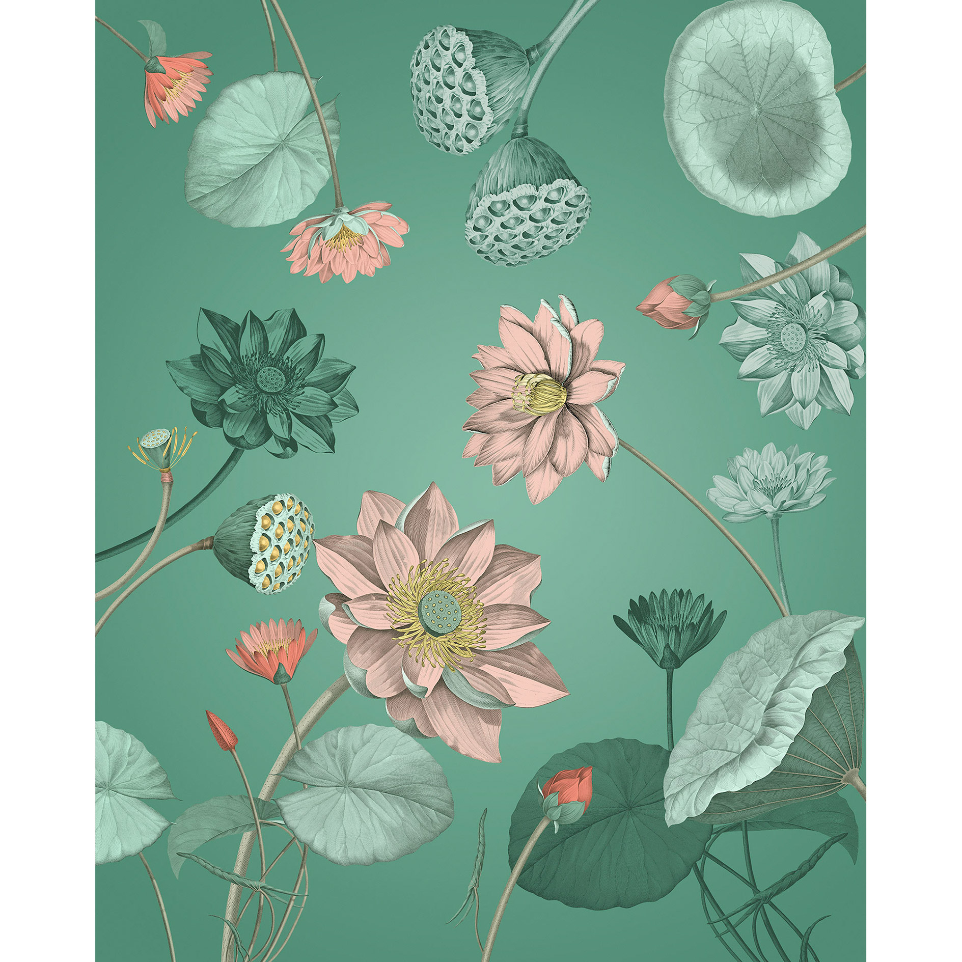 Vlies-Fototapete BLISSFUL - bunt - 200x250 cm