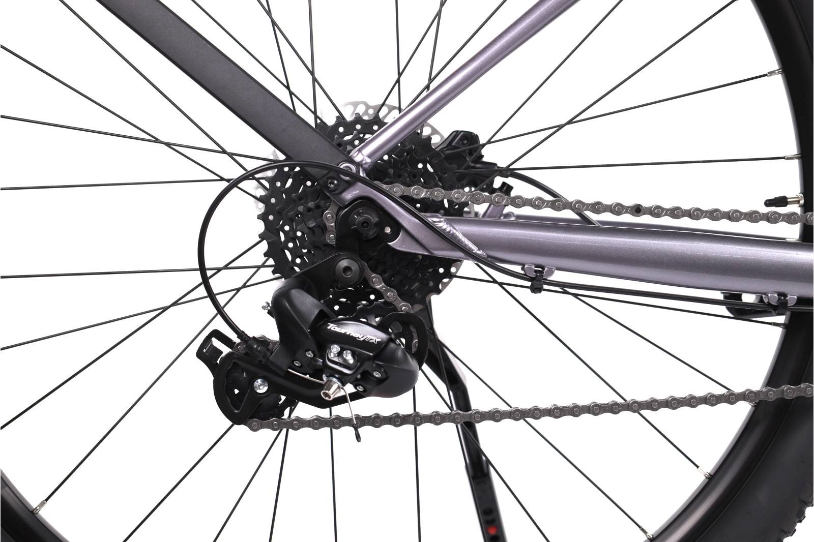 Scott Contessa Active (2023) | Diamond