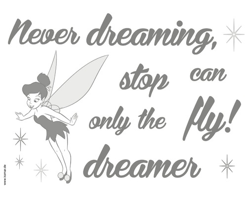 Muursticker Disney Editie 4 Never Stop dreaming 50 x 70 cm