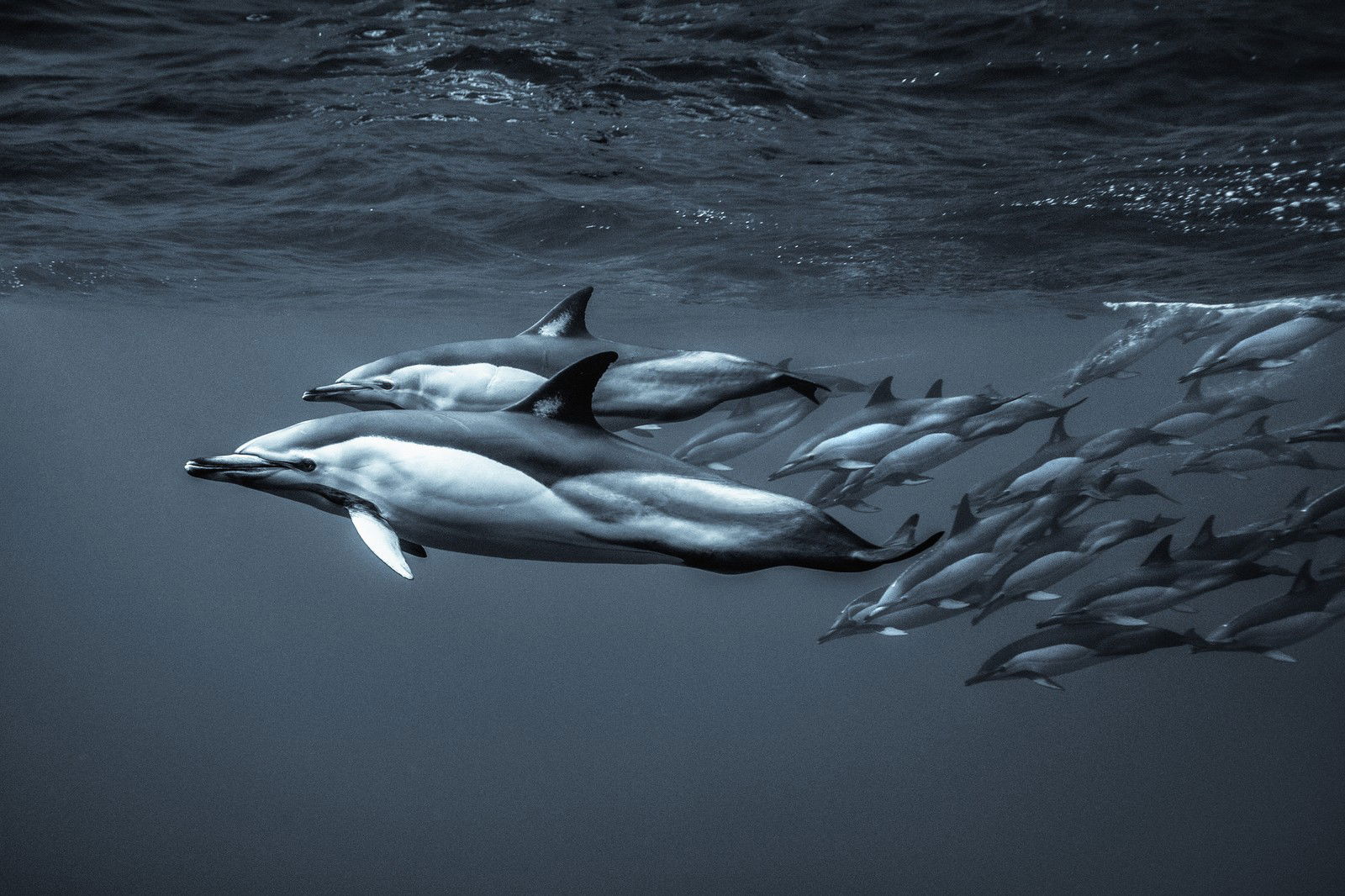Underwater Music by George Karbus - Limited Edition. Edition of: 150. Signed.