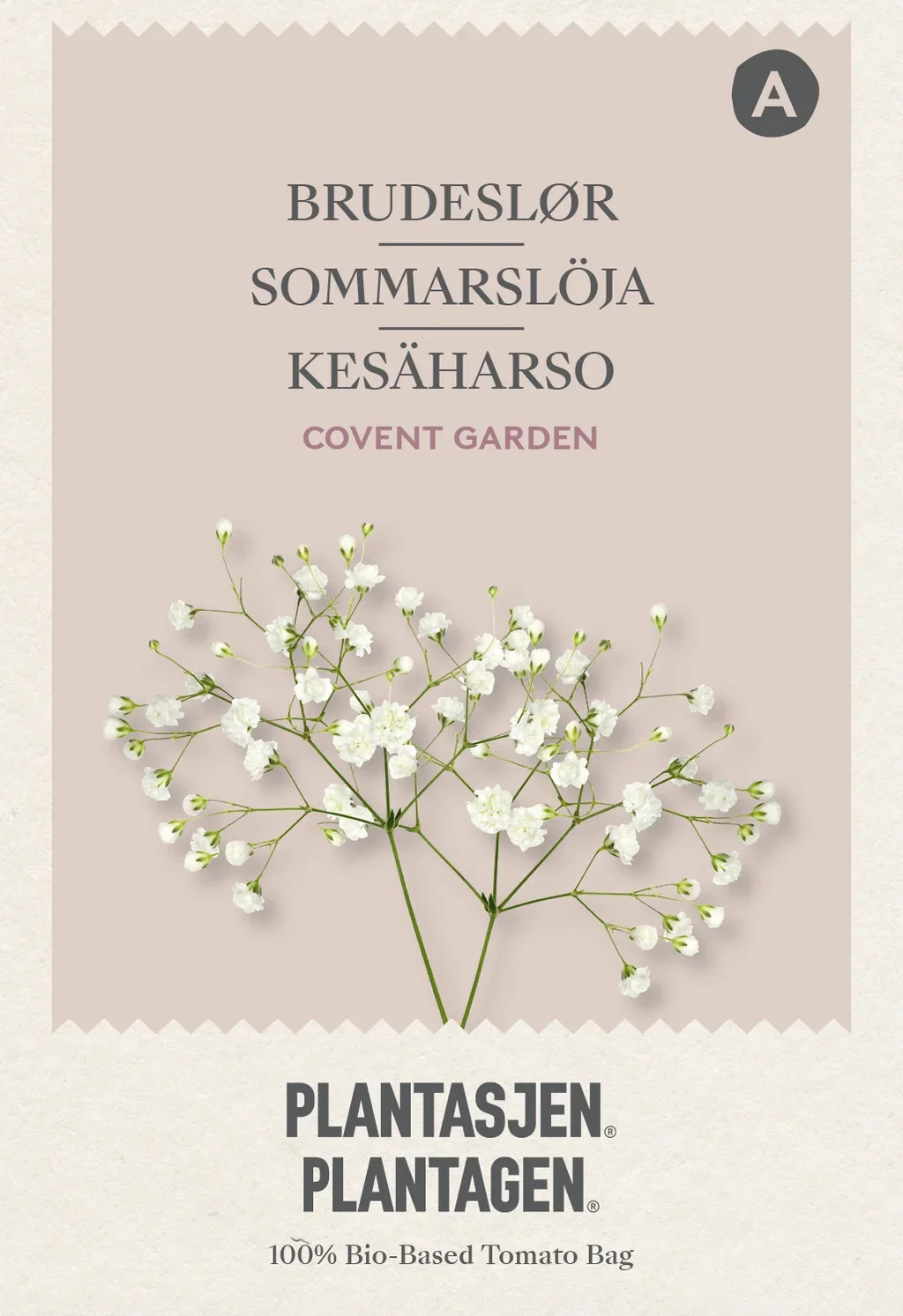 Gypsophlia elegans Brudeslør Covent Garden