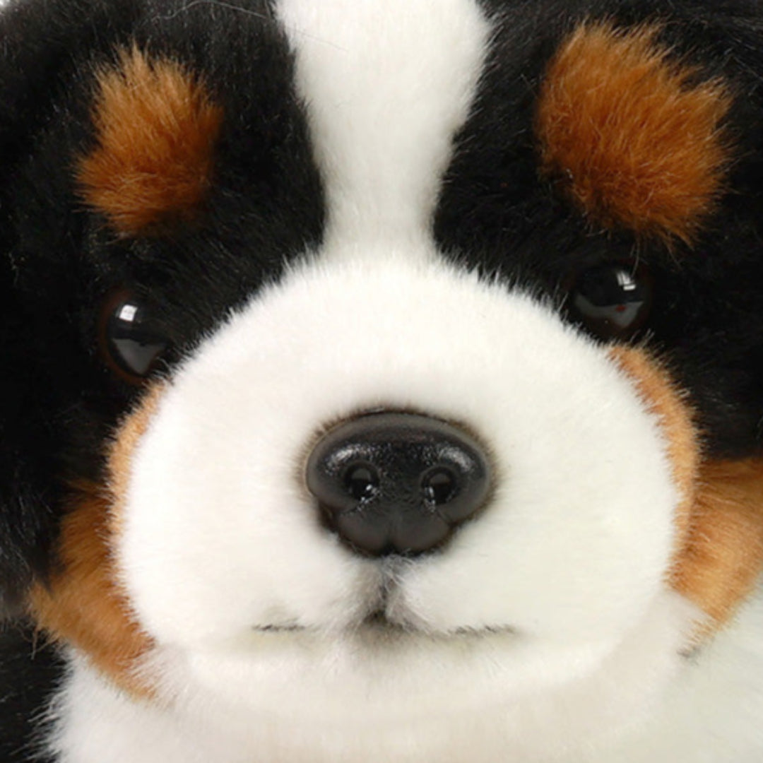 rappa knuffelhond berner - 30 cm