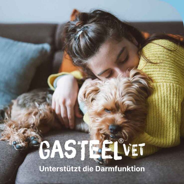 Gasteel Diät-Ergänzungsfuttermittel Kapseln für Hunde / Katzen, 50 St