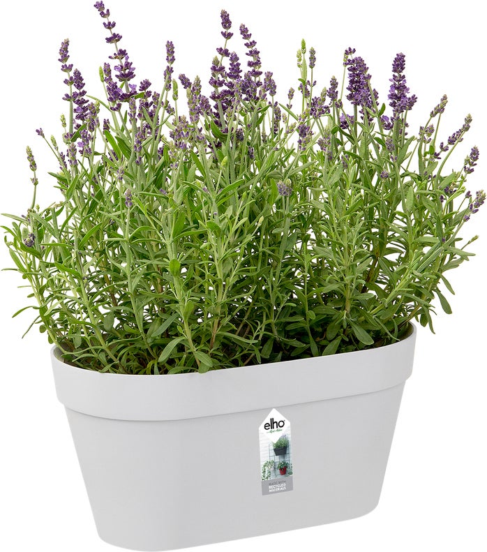 Elho muur bloempot Loft Urban wit 28 x 15 x 13,2 cm