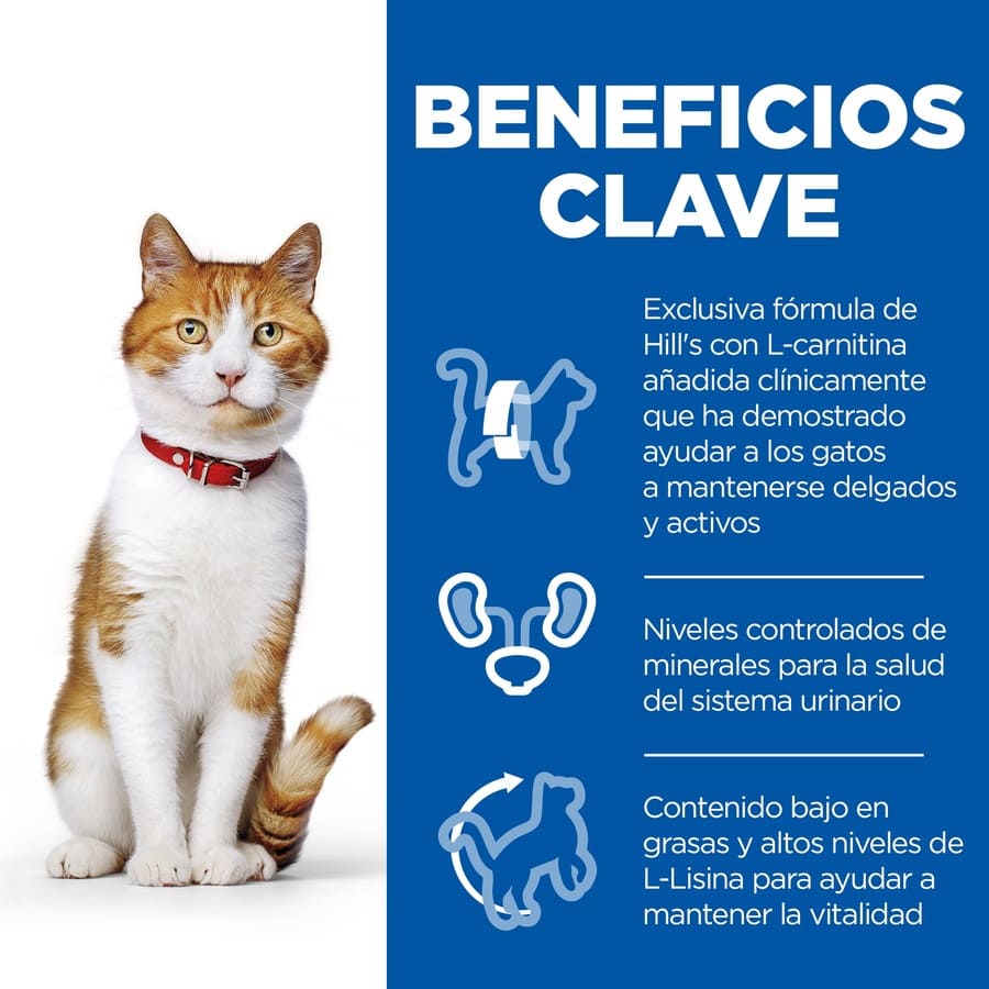 Plano de Ciências Hill's Pollo sobre gatos esterilizado para jovens adultos