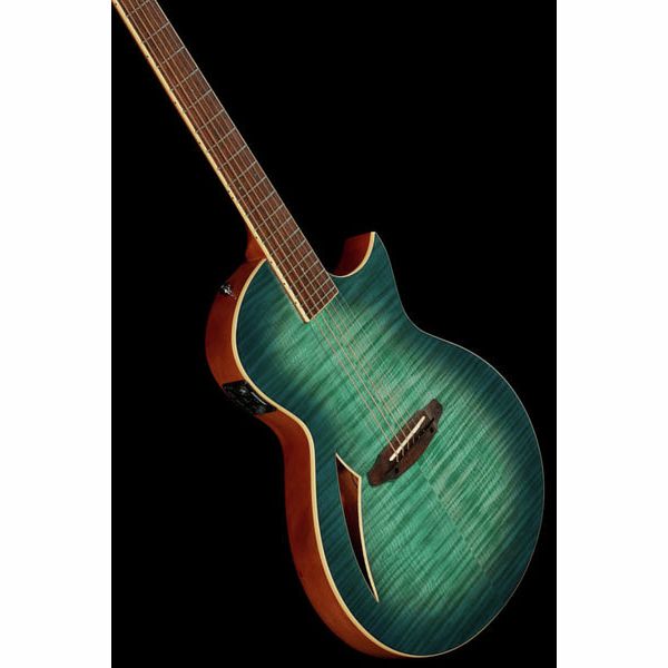 ESP LTD TL-6 Fm AQMB