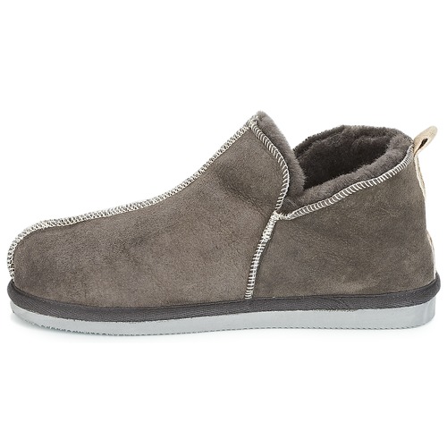 Shepherd - ANDY - Gris