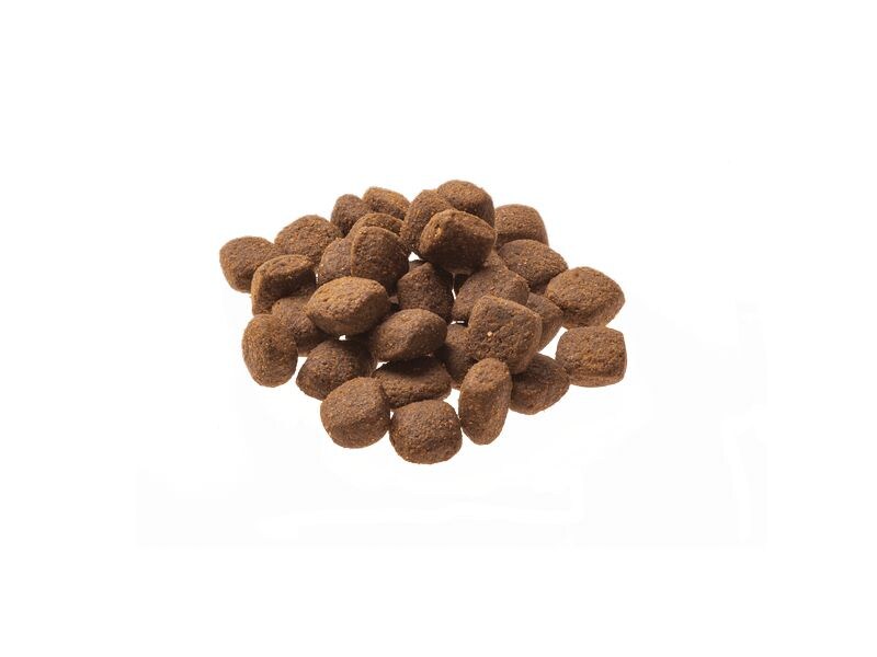 GranataPet Trockenfutter Natural Taste Lachs & Pute 12 kg Alleinfuttermittel für ausgewachsene Hunde