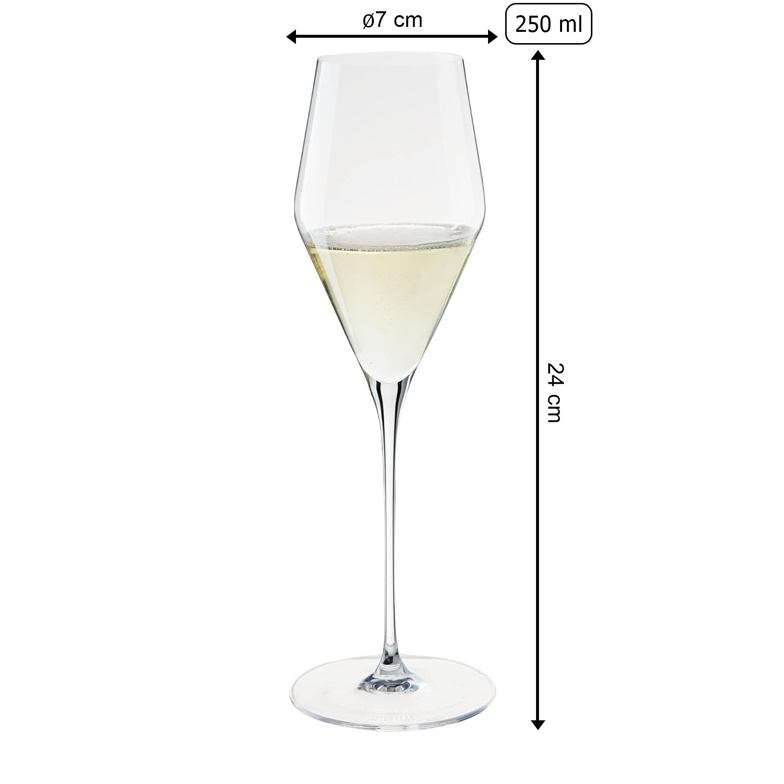 Spiegelau Champagnergläser Definition 250 ml 2er Set