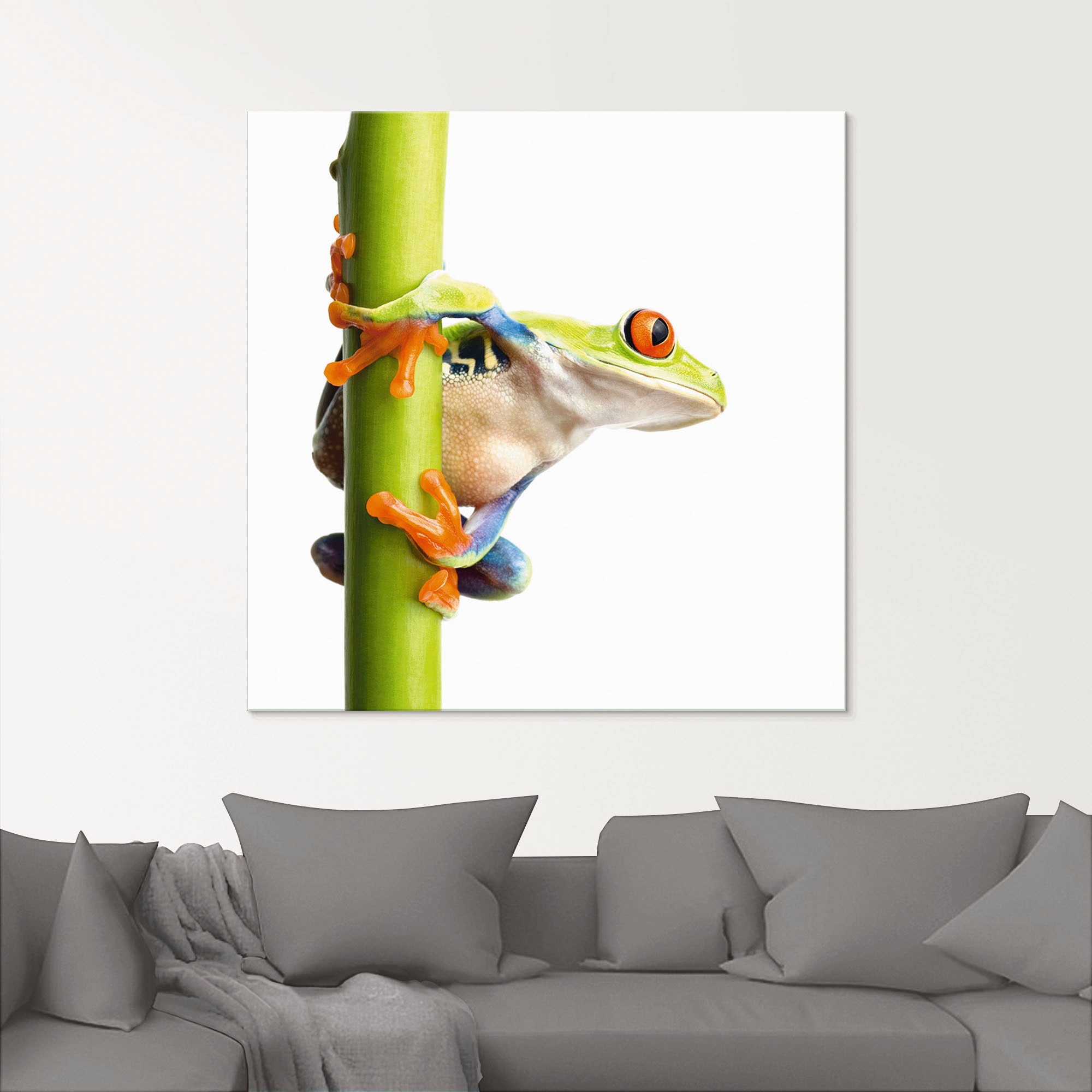 Artland Glasbild »Frosch umfasst einen Pflanzenstengel« Wassertiere 1 Stk. tlg.