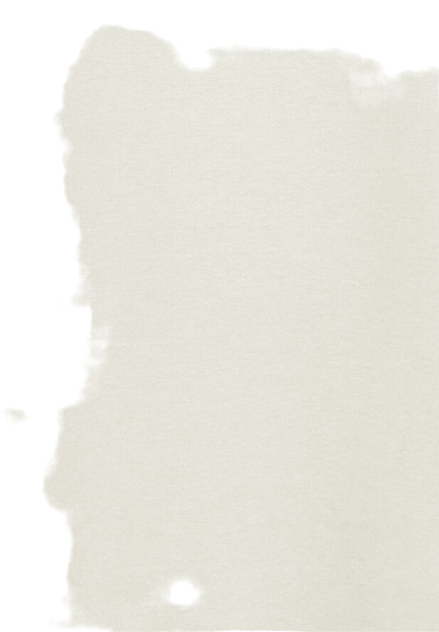 !Solid SDDanton SS Tee Oatmeal
