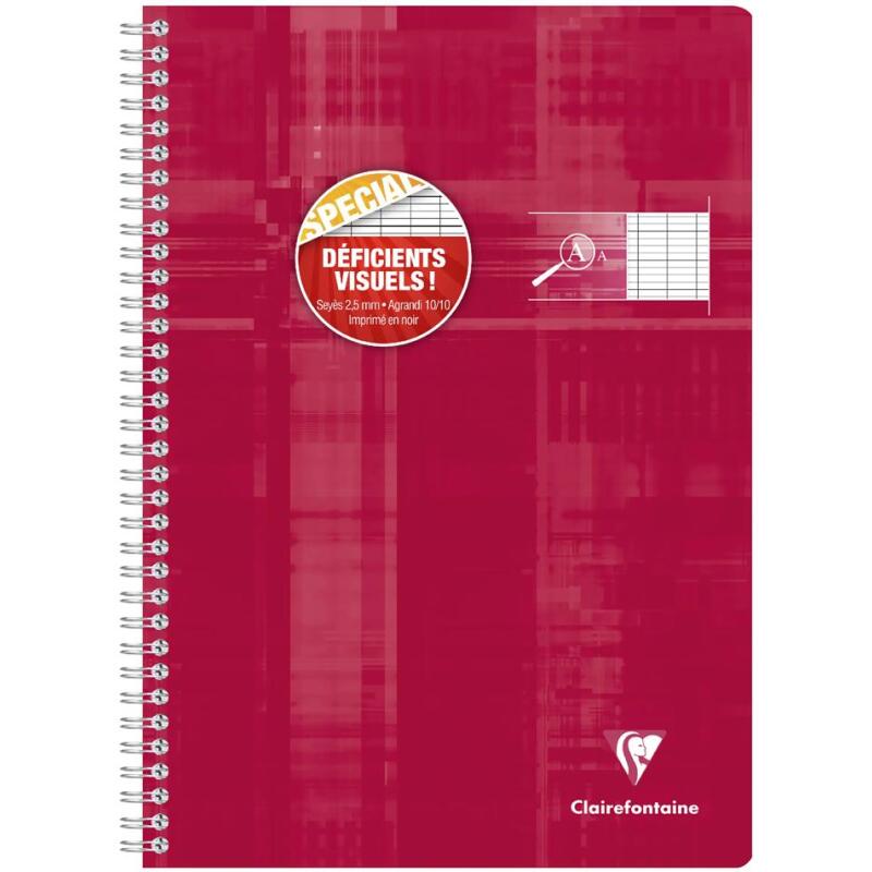 Cahier reliure intégrale déficients visuels A4 100 pages grands carreaux noirs 2,5mm agrandis 10x10 Couleur aléatoire - Assortis