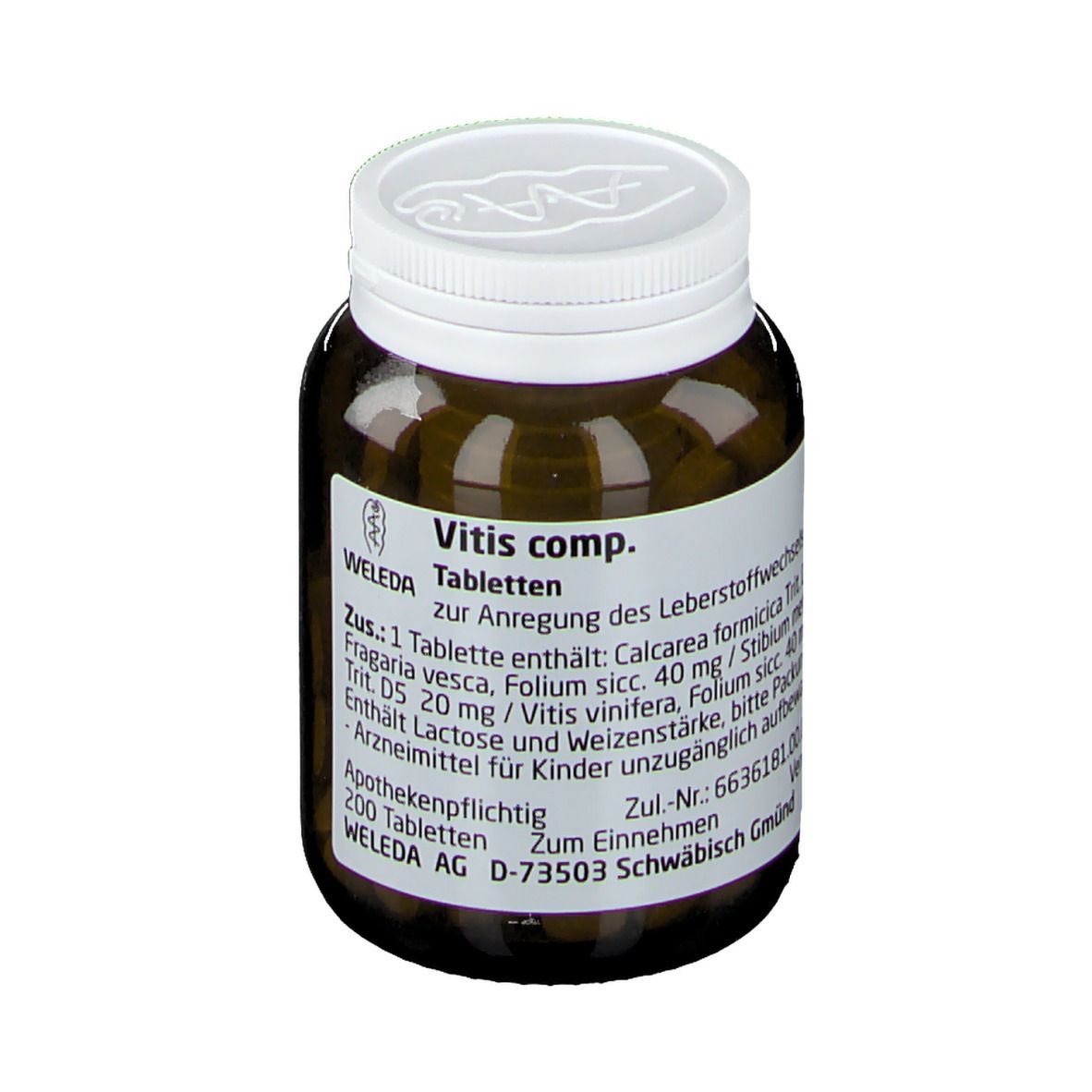 Vitis comp.