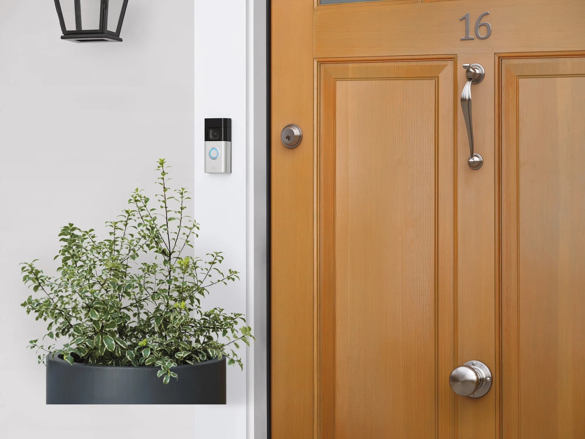 Ring Battery Video Doorbell Plus Nickel Satiné Sonnette connectée