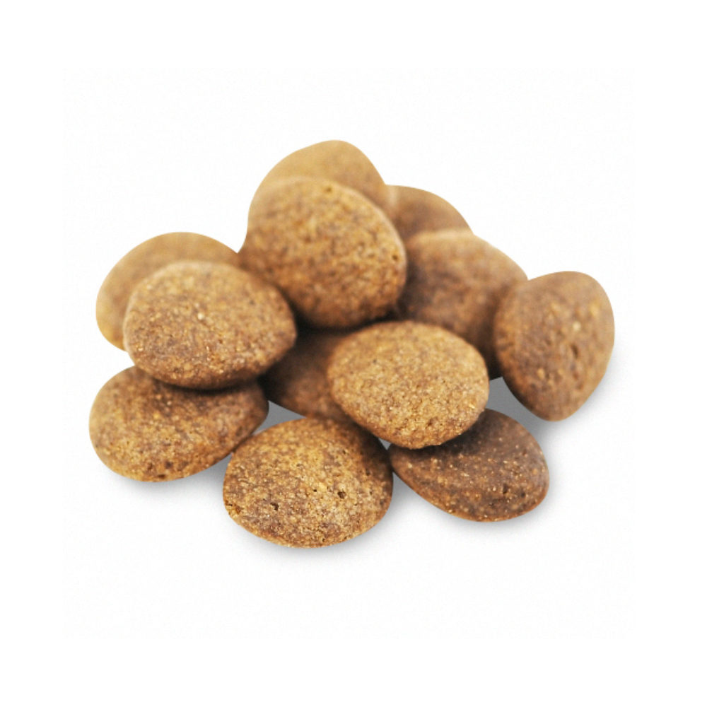 Fish4Dogs Finest Adult Complete - Zalm Grote Brok