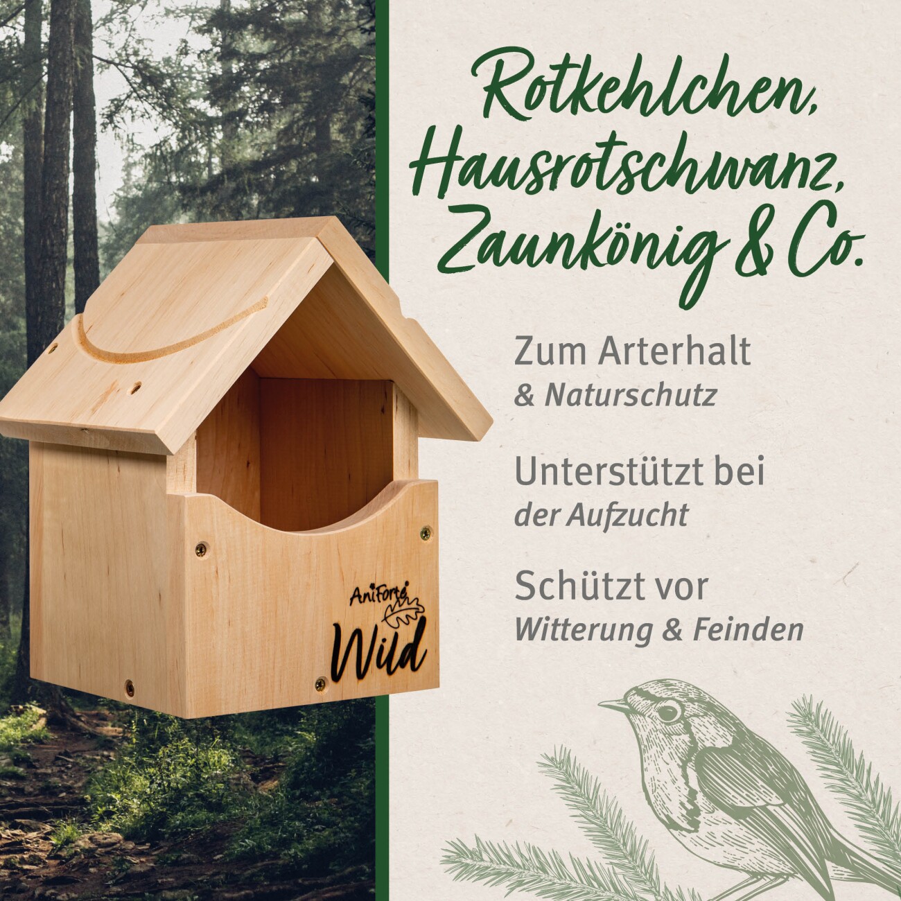 AniForte Nistkasten Rotkehlchen