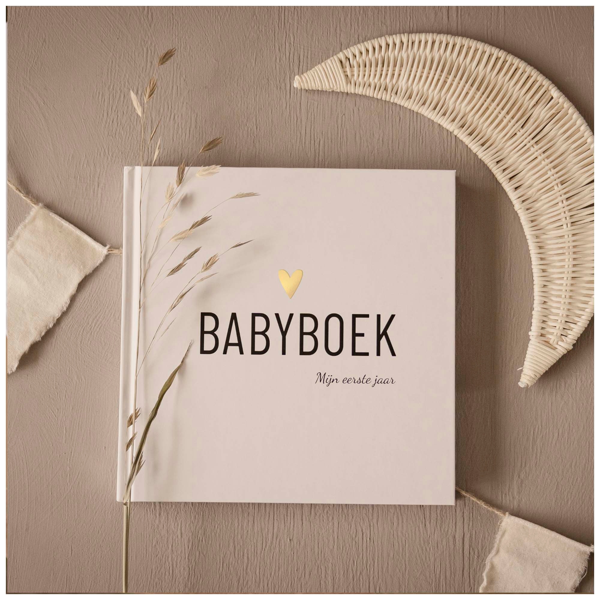 Babyboek - Mijn eerste jaar  - boeken voor ouders - Prénatal