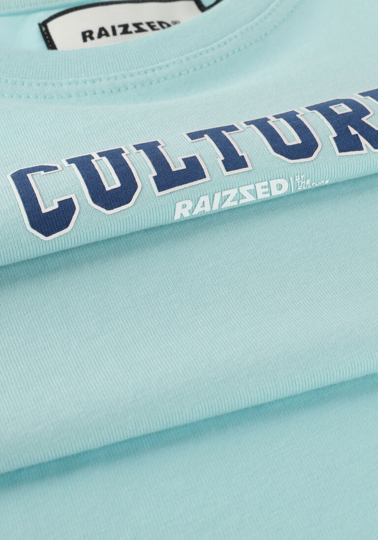 RAIZZED blauwe raizzed t-shirt sheridan