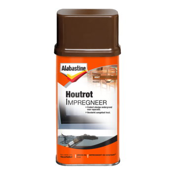Alabastine houtrotimpregneer 250 ml