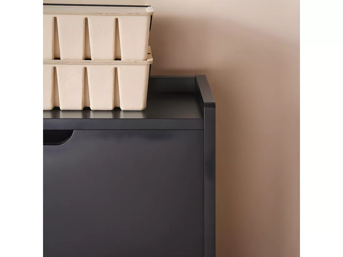 SoBuy Armoire à Chaussures Commode à Chaussures Meuble de Rangement à Chaussures 4 abattants Meuble d'entrée Coffre Rangement pour Chaussures, Noir, 100x19x90cm, FSR100-SCH