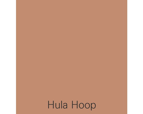 Alpina muurverf kleur recepten Hula Hoop 2.5 l