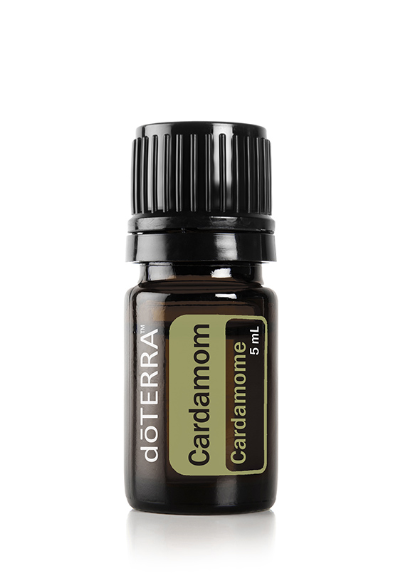 Huile de cardamome  Elettaria cardamomum