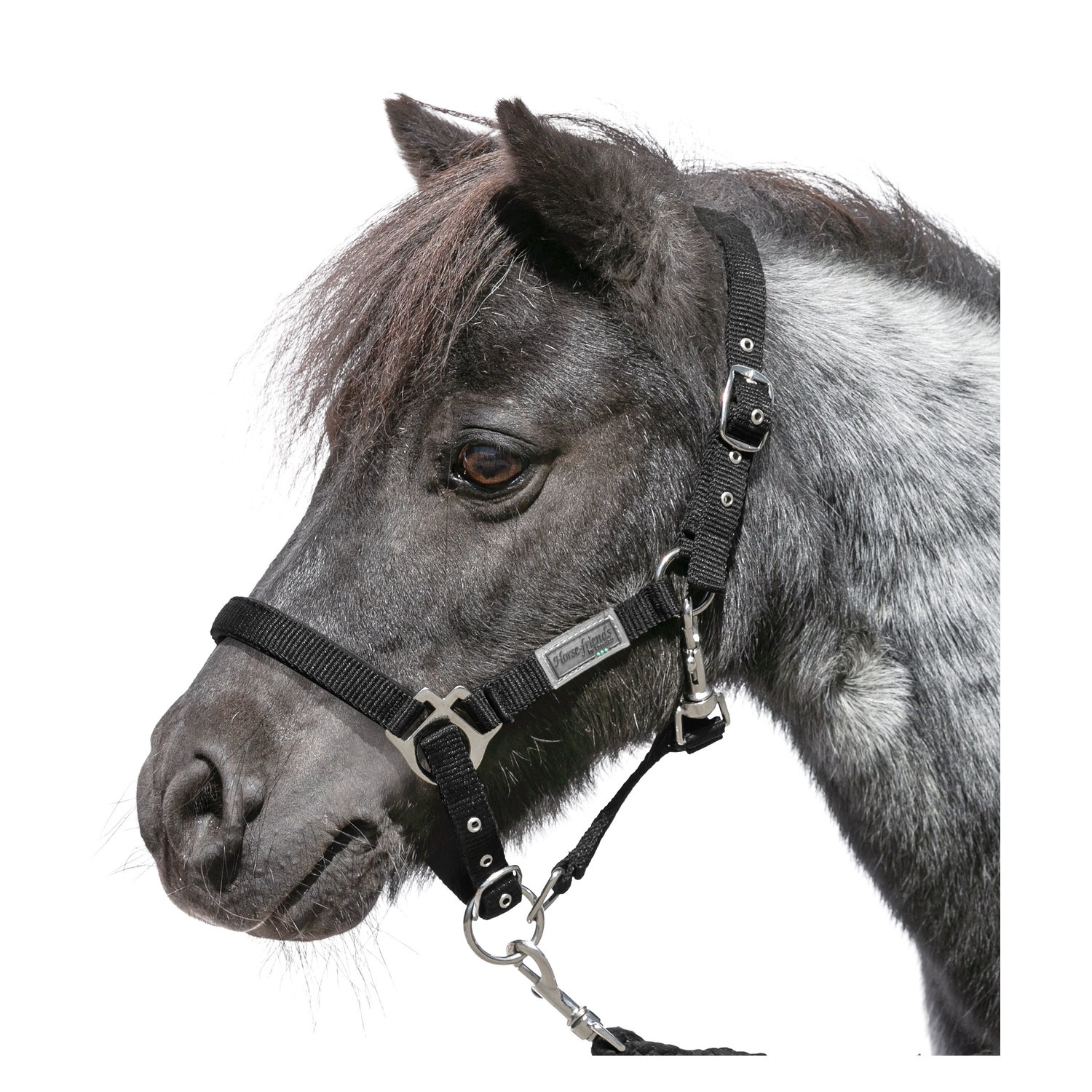Horse-friends Halfter für Minishetty und Shetty  - black